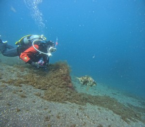 GOPR8615