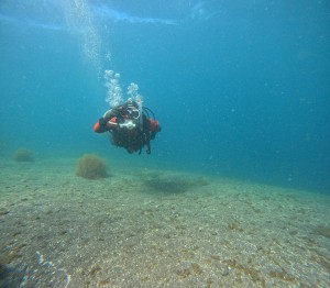 GOPR8620