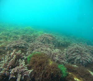 DCIM100GOPROGOPR8690.JPG