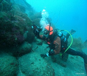 DCIM100GOPROGOPR8693.JPG
