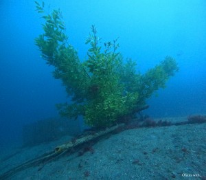DCIM100GOPROGOPR8696.JPG