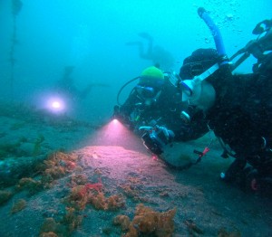 DCIM100GOPROGOPR8710.JPG