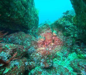 DCIM100GOPROGOPR8749.JPG