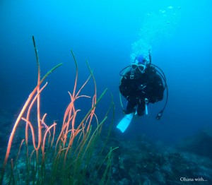 DCIM100GOPROGOPR8762.JPG