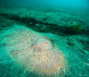 DCIM100GOPROGOPR8839.JPG