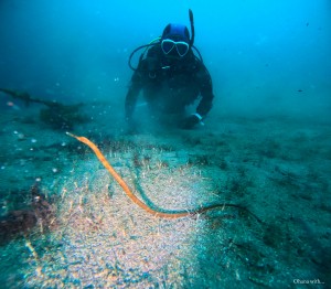 DCIM100GOPROGOPR8846.JPG