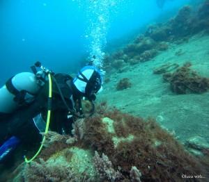 DCIM100GOPROGOPR8851.JPG