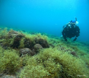 DCIM100GOPROGOPR8852.JPG