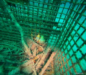 DCIM100GOPROGOPR8860.JPG