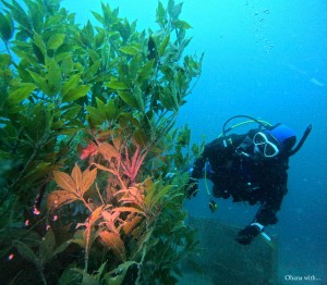 DCIM100GOPROGOPR8862.JPG