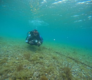 DCIM100GOPROGOPR8957.JPG