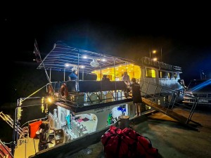LINE_ALBUM_20241230_250108_251