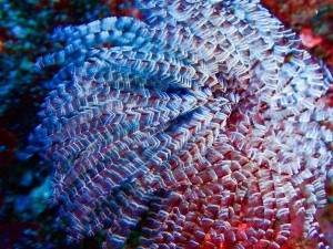 P4040027