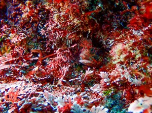 P4040069