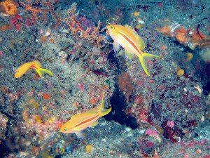 P4040090