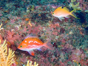 P4040106
