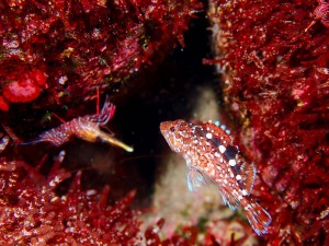 P4050275