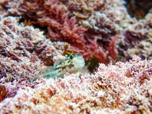 P4050275