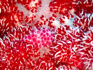 P4060336