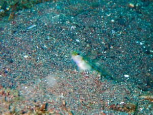 P4140016