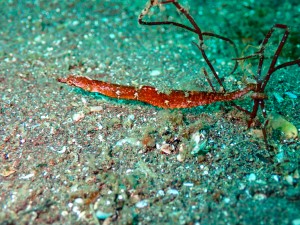 P4141035