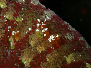 P4190027