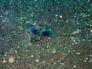 P4230005