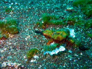 P4230039