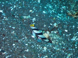 P4270035
