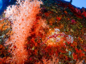 P4300049