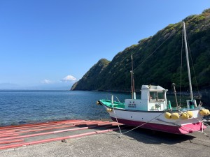 S__293904389_0