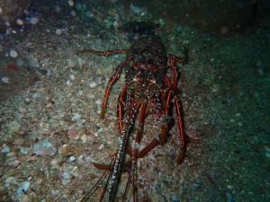 line_oa_chat_250419_191742