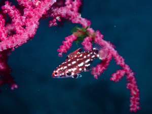 LINE_ALBUM_ミユ_250513_22