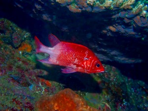 LINE_ALBUM_ミユ_250513_2