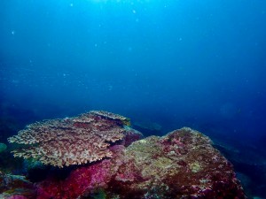 LINE_ALBUM_ミユ_250513_33