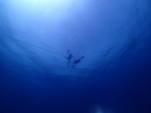 LINE_ALBUM_2024 Similan編_250108_125