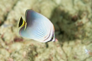 DSC03849