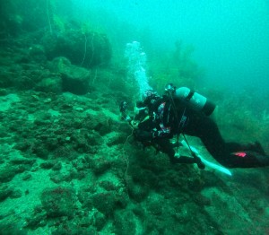DCIM100GOPROGOPR4717.JPG