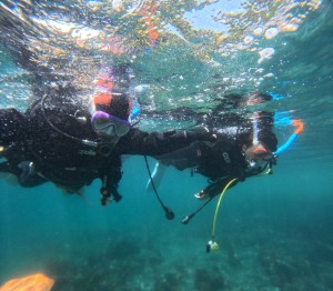 DCIM100GOPROGOPR4721.JPG
