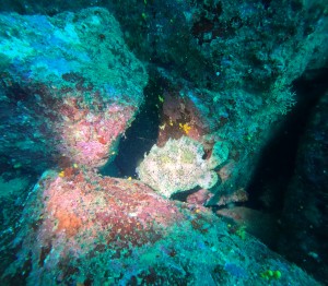 DCIM100GOPROGOPR4722.JPG