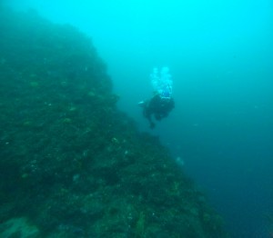 DCIM100GOPROGOPR4746.JPG