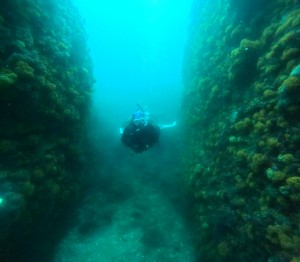 DCIM100GOPROGOPR4776.JPG
