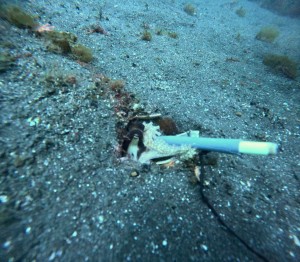 DCIM100GOPROGOPR4815.JPG