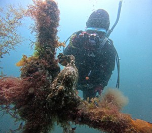 DCIM100GOPROGOPR4821.JPG