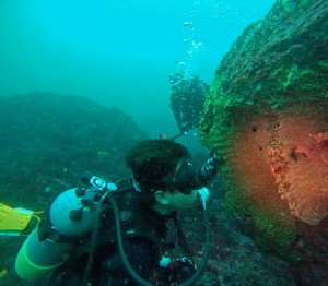 DCIM100GOPROGOPR4874.JPG