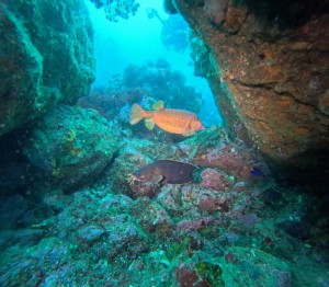 DCIM100GOPROGOPR4884.JPG