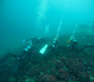 GOPR4941
