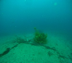 GOPR4947