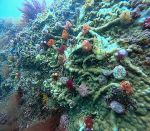 DCIM100GOPROGOPR5223.JPG
