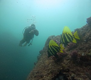 DCIM100GOPROGOPR5260.JPG